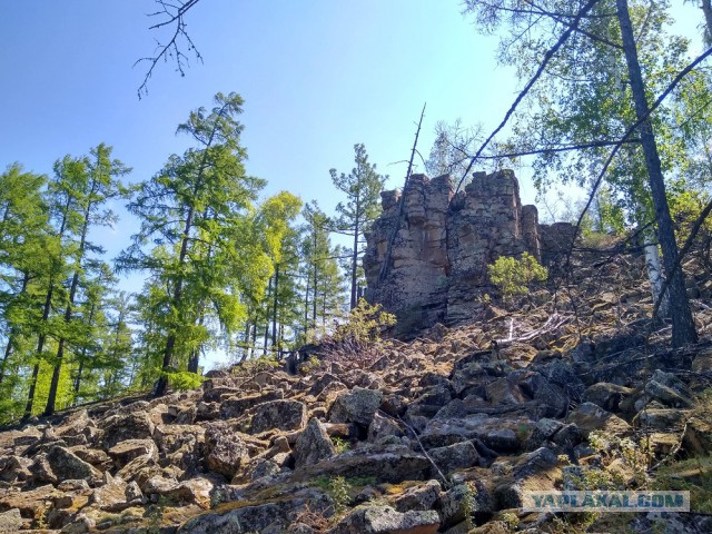 Дневник сейсморазведчика