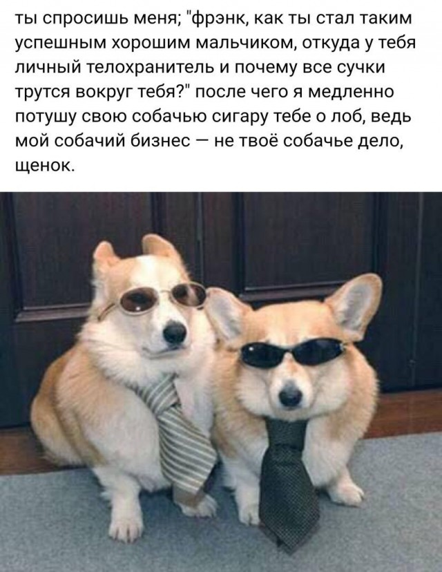 Не очень адекватный юмор