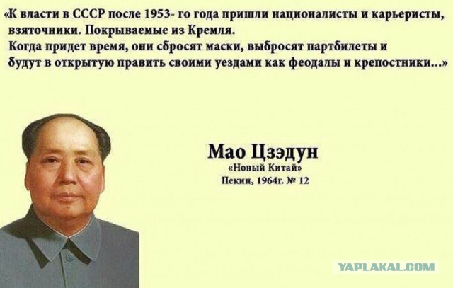 Как мы погуляли по болотке.