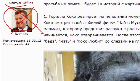 Истории,доказывающие, что и у животных есть душа