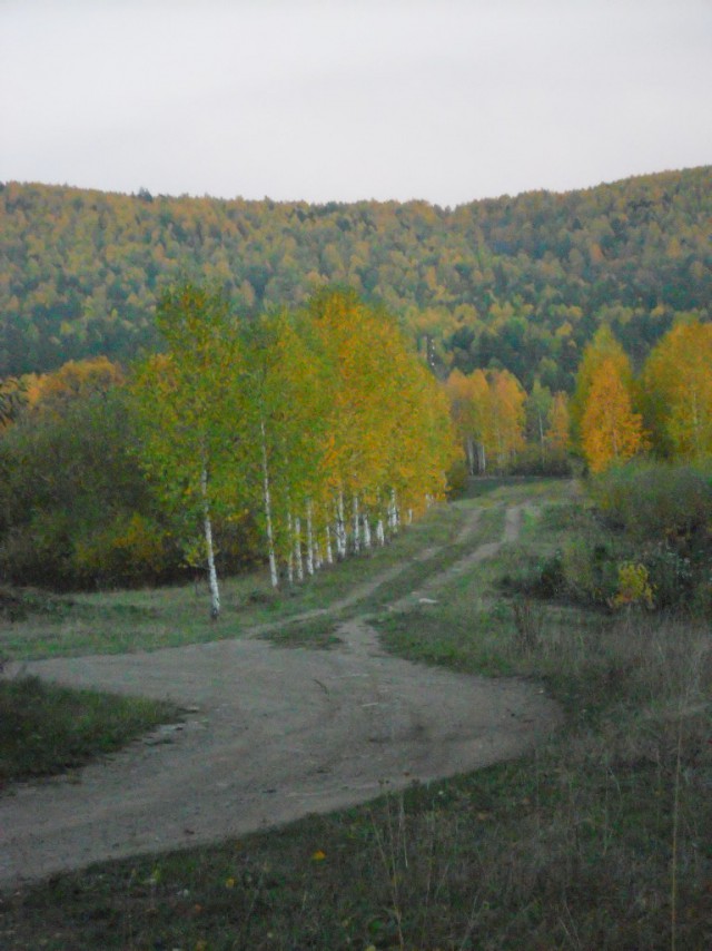 Красота сельских дорог