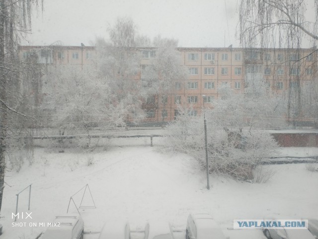 Добро пожаловать в Сибирь 28.04.2019
