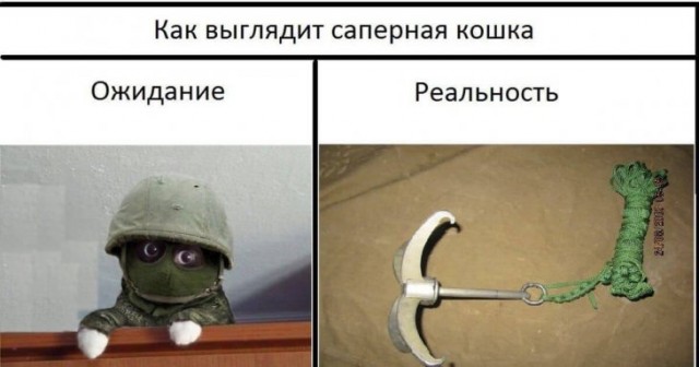 Картинки с надписями, истории и анекдоты 04.10.19