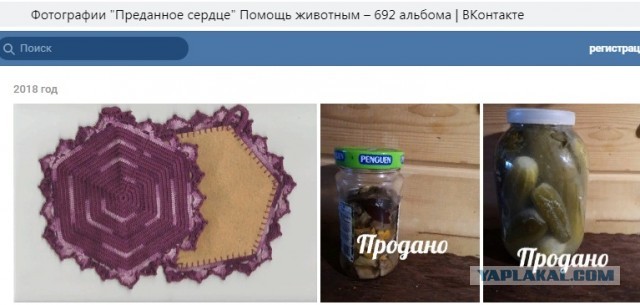 Помогите вернуть кота! Приют "Преданное сердце" украл кота и не отдает!-2