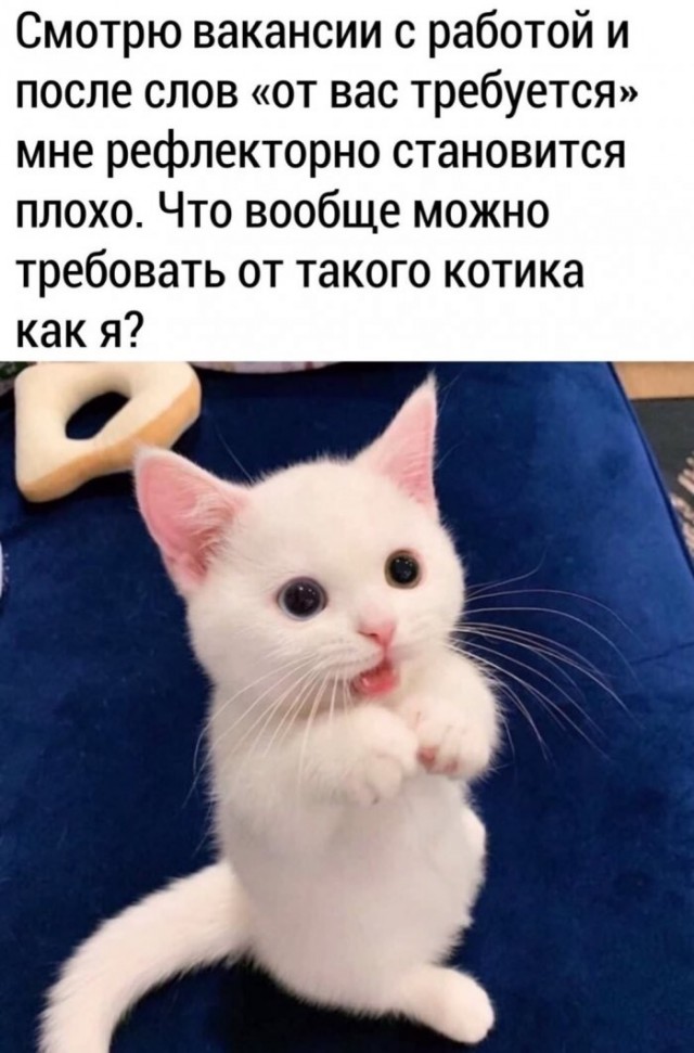 Немного картинок для настроения 17.05.20
