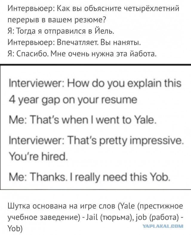 Друзья! Завтра на собеседование меня пригласили, сказать там что я "музыкант"? (Пашкетт)