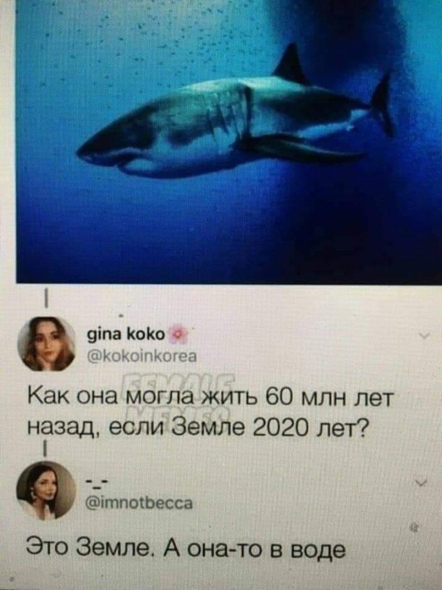 Картинки и мемы для настроения 008