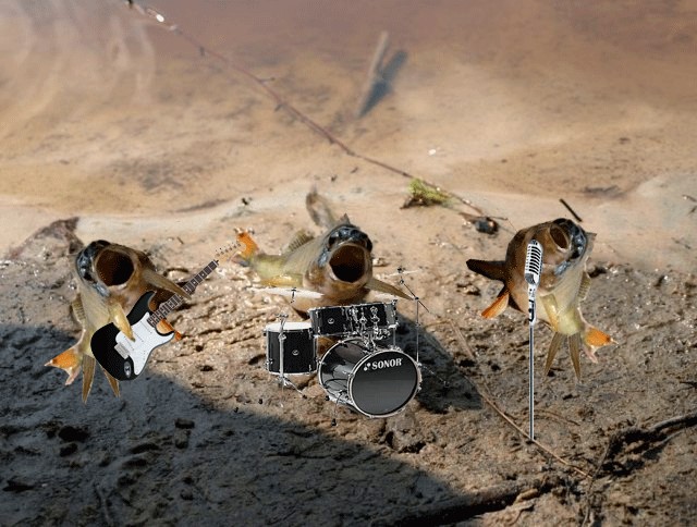 Фотожаба: "Чо?"