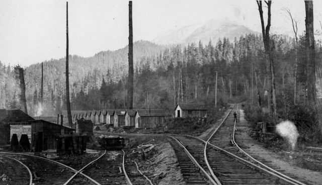Лесорубы, вырубившие гигантские деревья Британской Колумбии, 1900-1930 гг