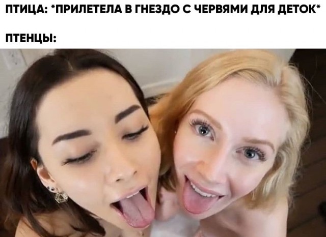 Аморальная деградация