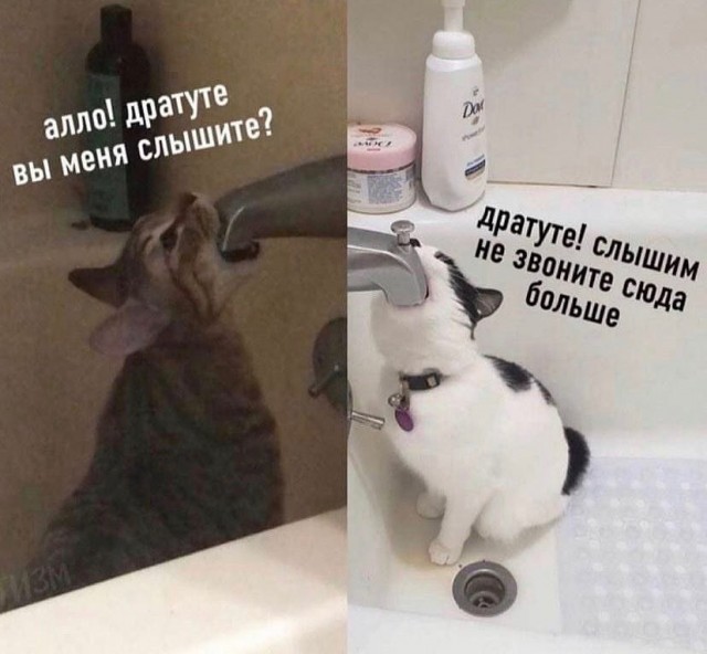 Всякие картинки 12.04