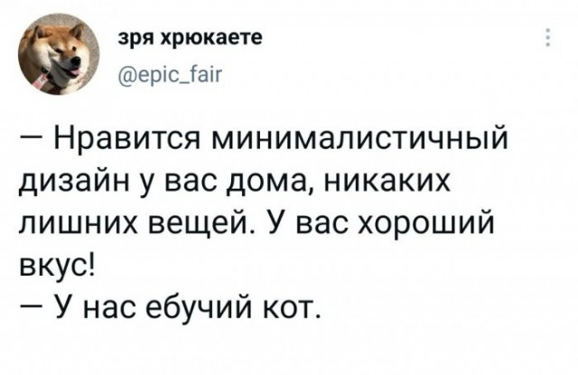 Весёлый полтишок 16.04