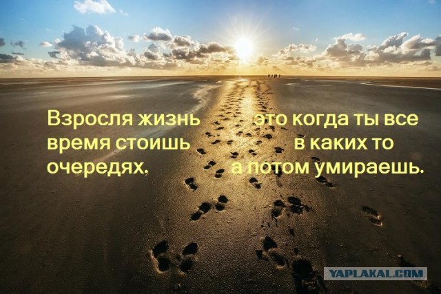 "Справку принеси!": в край упоротые ситуации, которых бы не было без бюрократизма