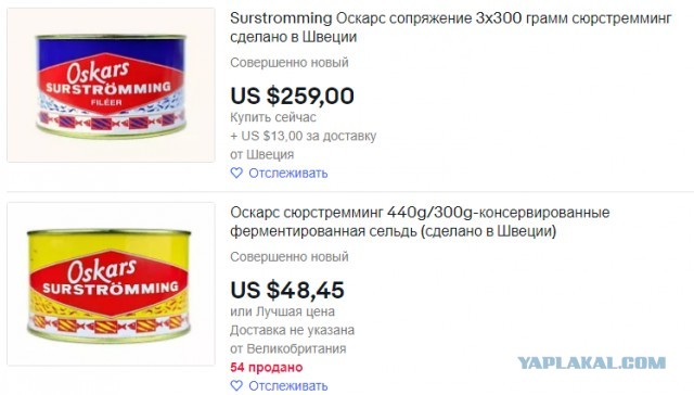 Сама стойкость и невозмутимость
