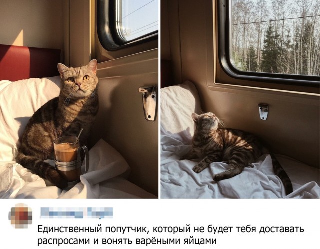 Картинки с надписями и всякие жизненные фразы 07.05.2021