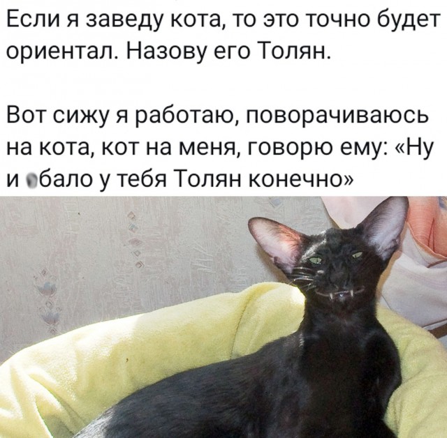 Каракалы
