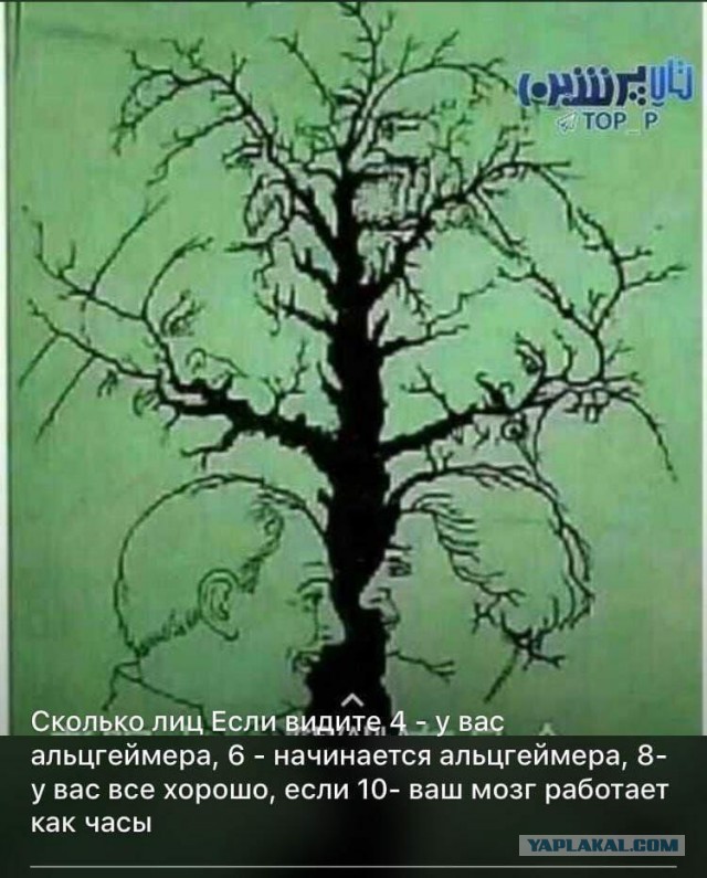 Пандемия. Коронавирус. Россия и мир. Последняя информация. Часть 25
