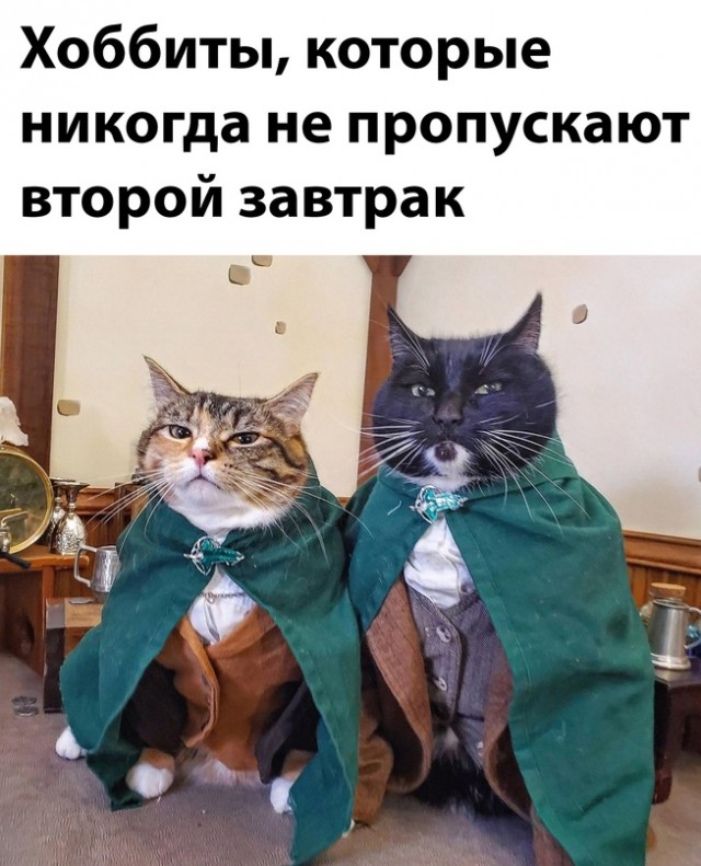 Картинки и мемы для настроения 21.12.21