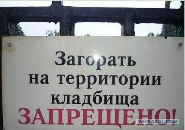 Так себе картинки 20.02.22