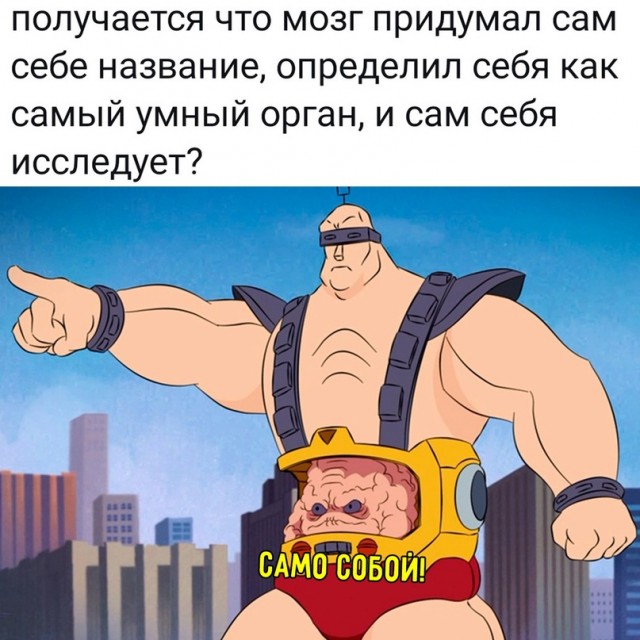Весёлый полтишок 20.03.22