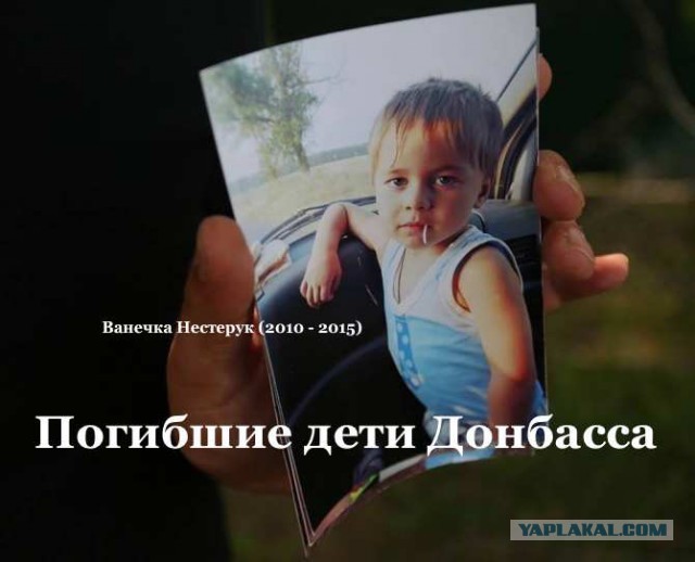 Александр Розенбаум – Стрекоза