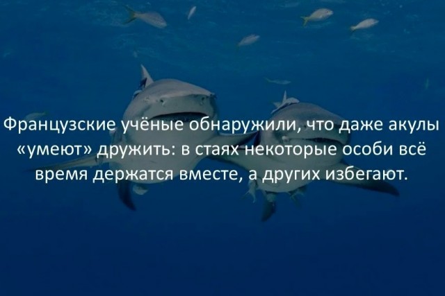 70 удивительных фактов