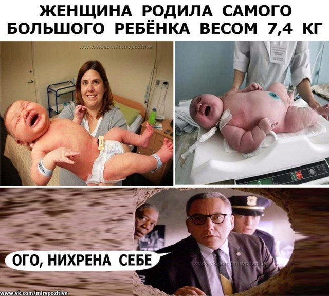 Забавные комментарии из социальных сетей (18.04.22)