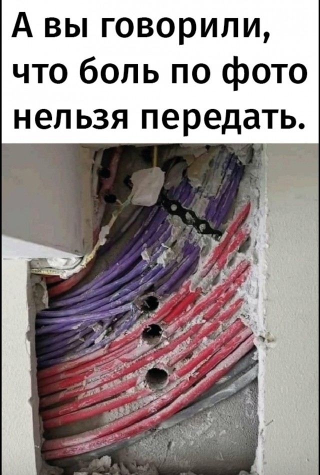 Немного фото