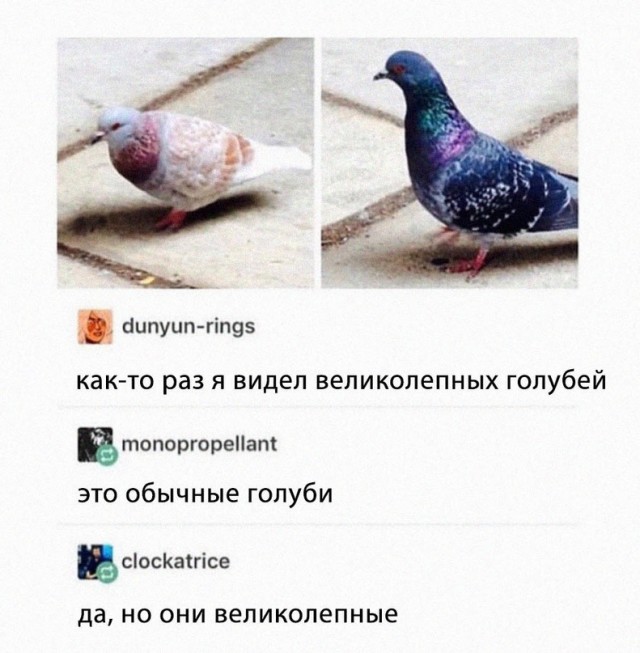 Картинки и мемы для настроения  - 31