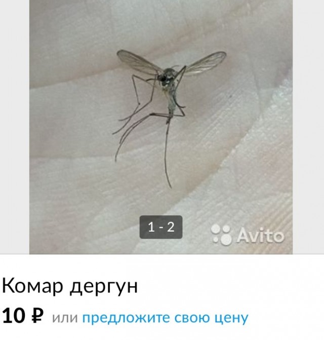 Немного картинок с надписями 21.06.22