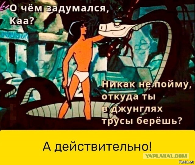 Каким был реальный Маугли, ставший прообразом героя Киплинга: Дина Саничар и его трагическая судьба