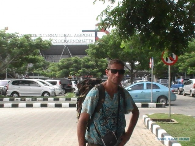 Они живут только 40 лет