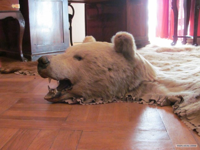 Северная столица России - Санкт-Петербург