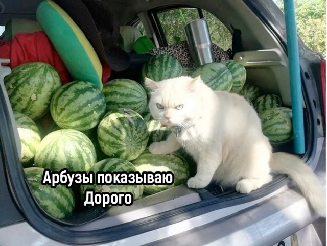 Так себе картинки 30.08.22