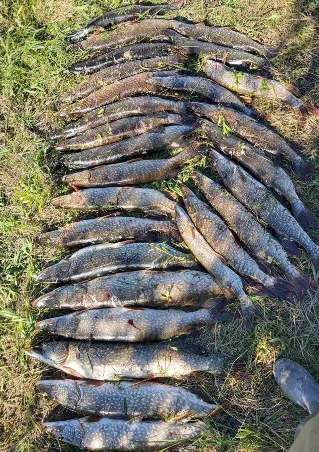 Рыбалка на Минском море
