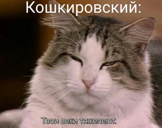 Немного картинок для настроения