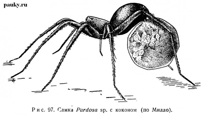 Напомнило..