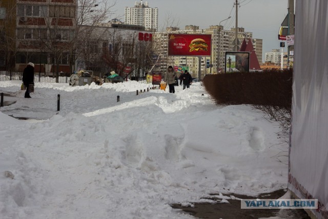 23 марта. Киев. Весна.