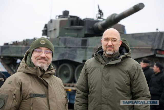Первые леопарды прибыли