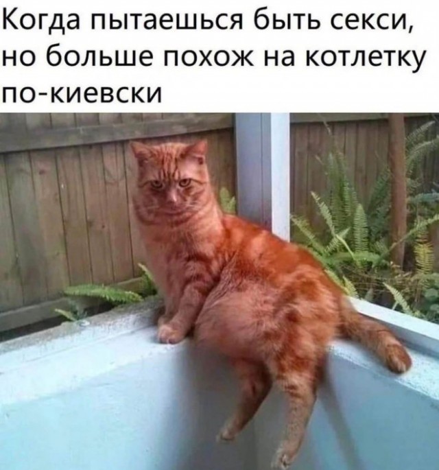 Всего понемногу 06.03