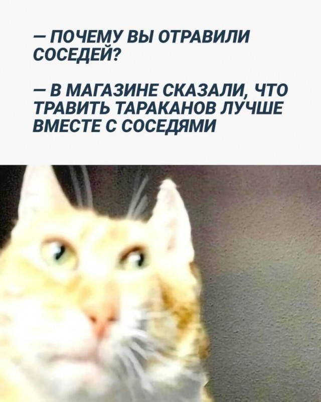 Чернила-2