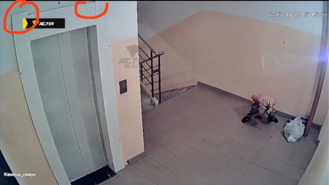 В Новосибирске девушка насрала в подъезде рядом с маленьким ребенком