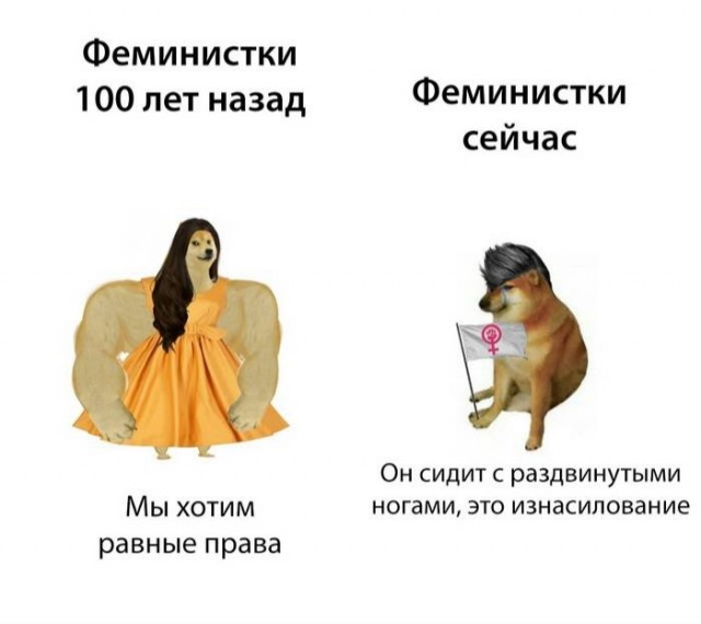 Столкнулся с радикальной псевдофеминисткой