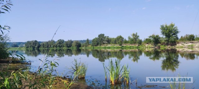 Рыбалка на реке Зея