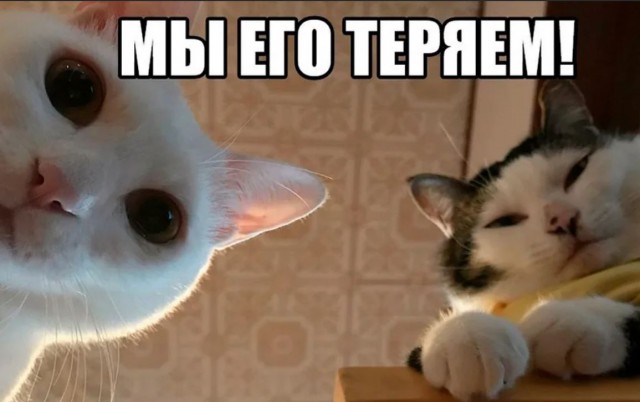 Химия и жизнь