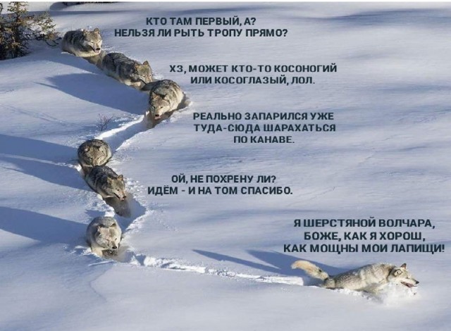 Ледокол «Ямал» ломает льды.