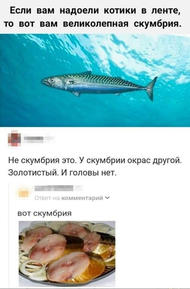 Маленькая пятница