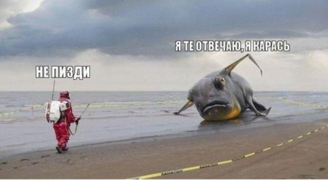 Дуровая балда клюнула у рыбака, друзья стоят рядом в шоке