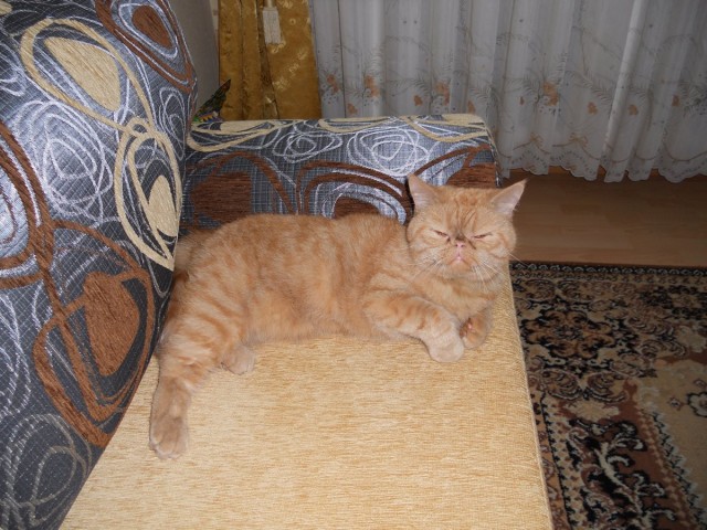 17 лет старичку!