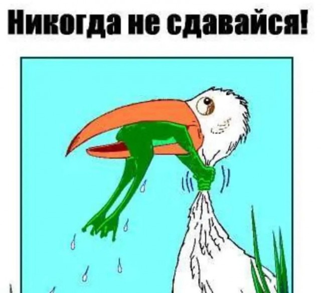 Злые вы все....